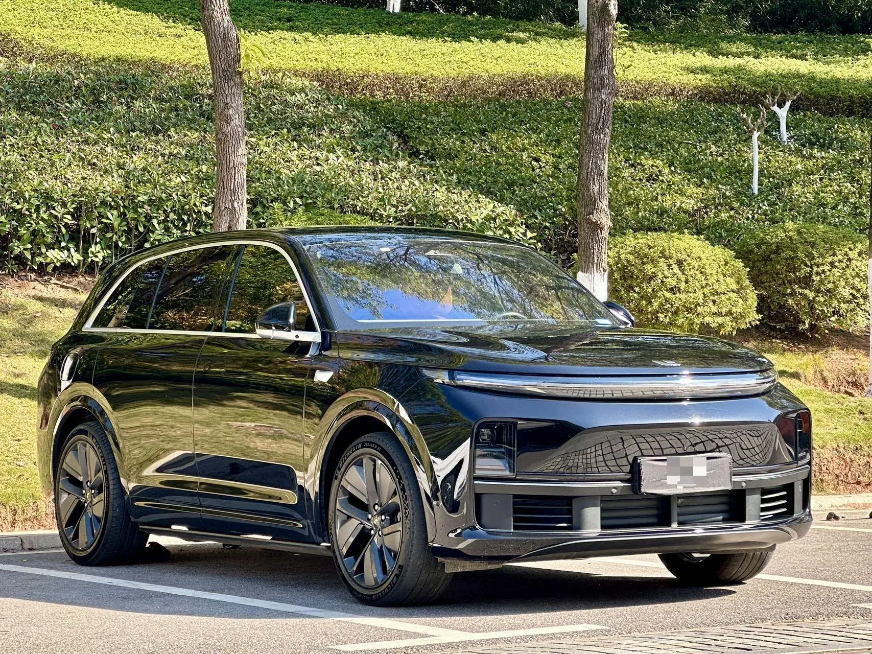 2024 LI L7 thumbnail 3