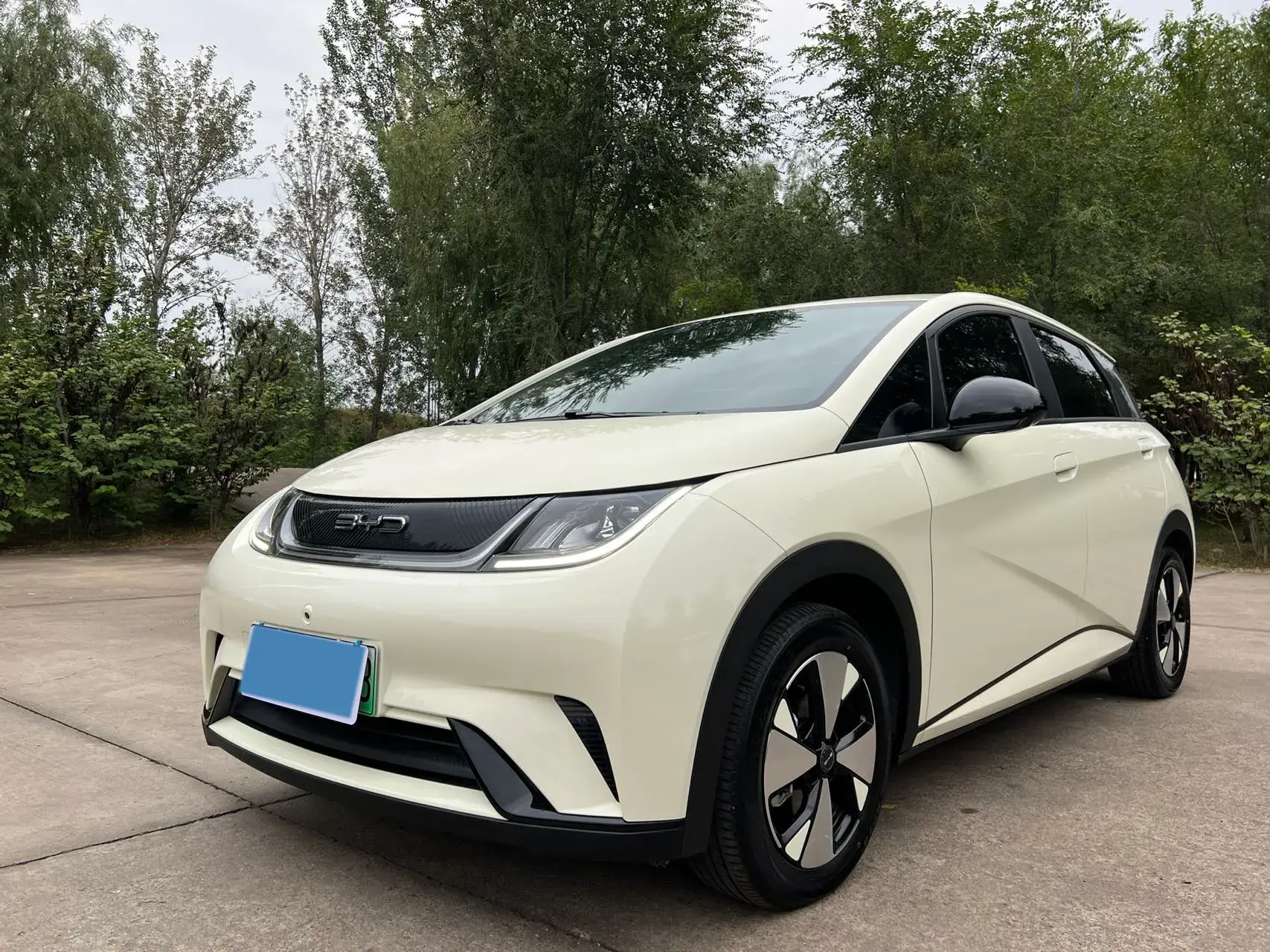 2023 BYD DOLPHIN view 1