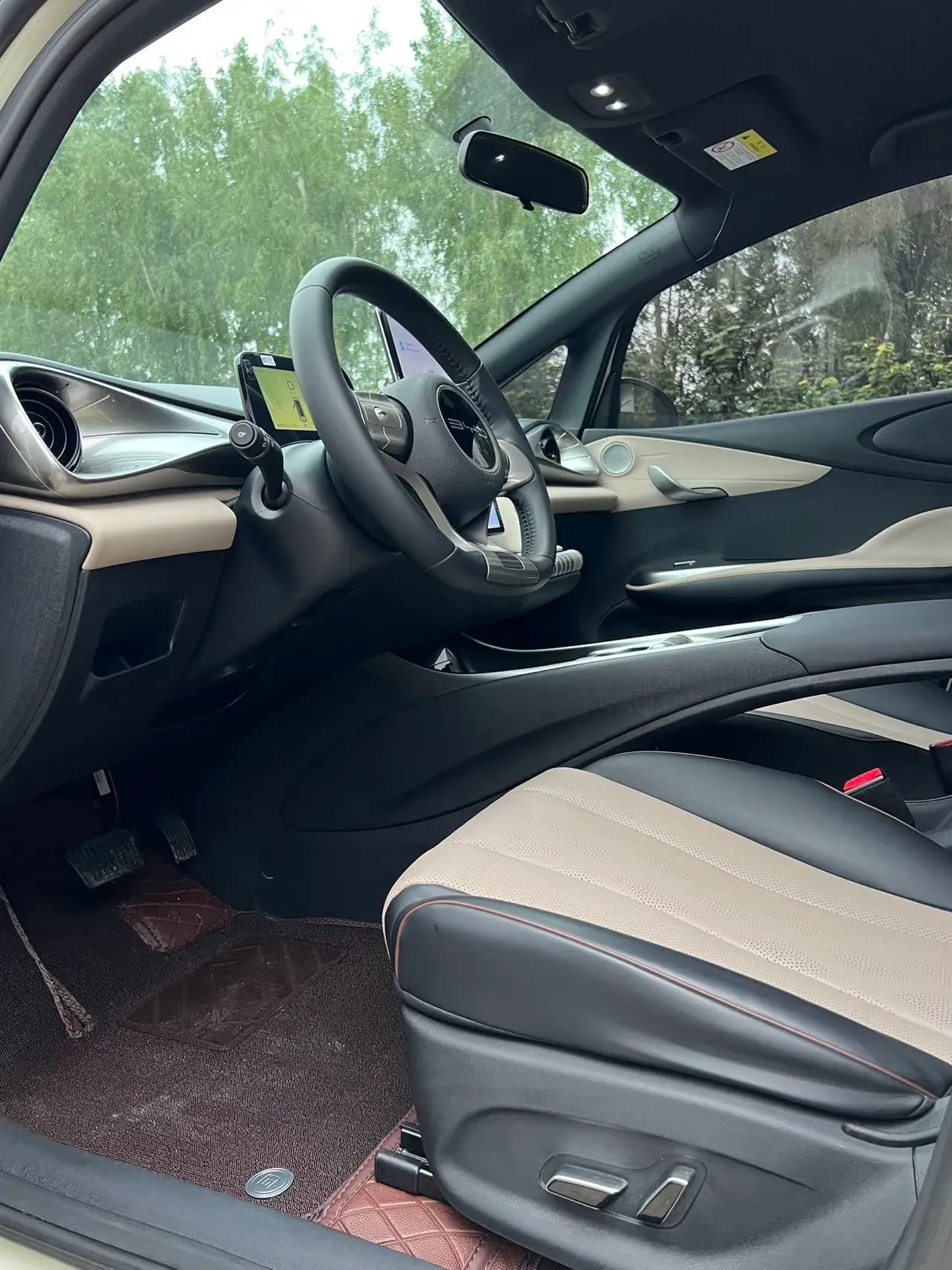 2023 BYD DOLPHIN thumbnail 4