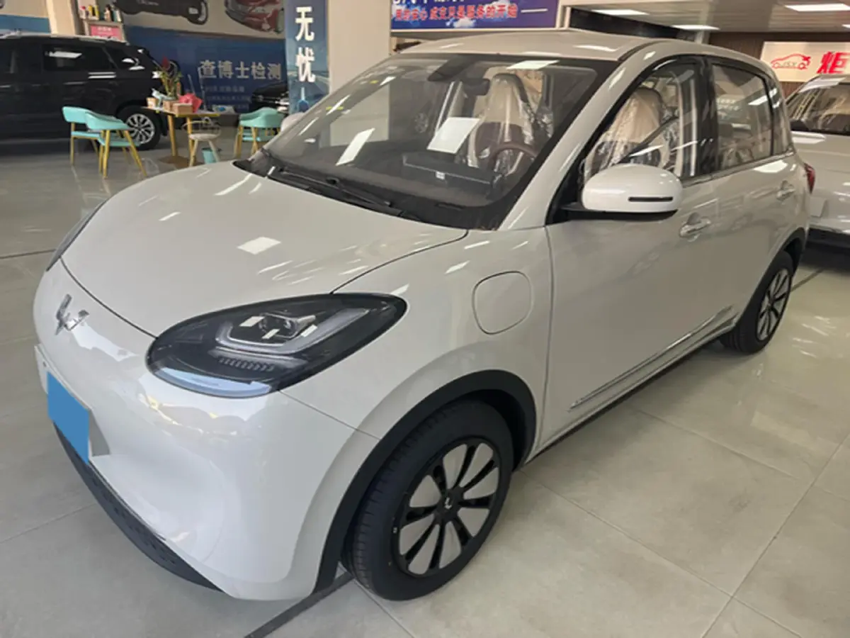 2025 WuLing BinGuo BEV