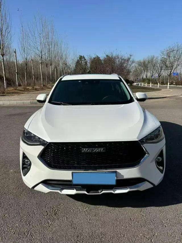 2019 HAVAL F7 thumbnail 2