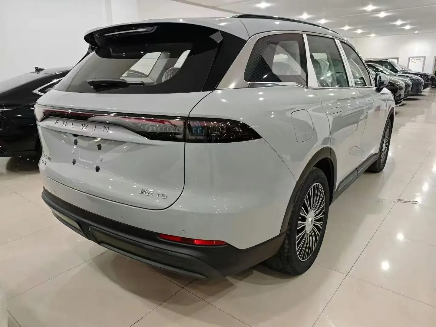 2024 FULWIN FULWINT9 thumbnail 3