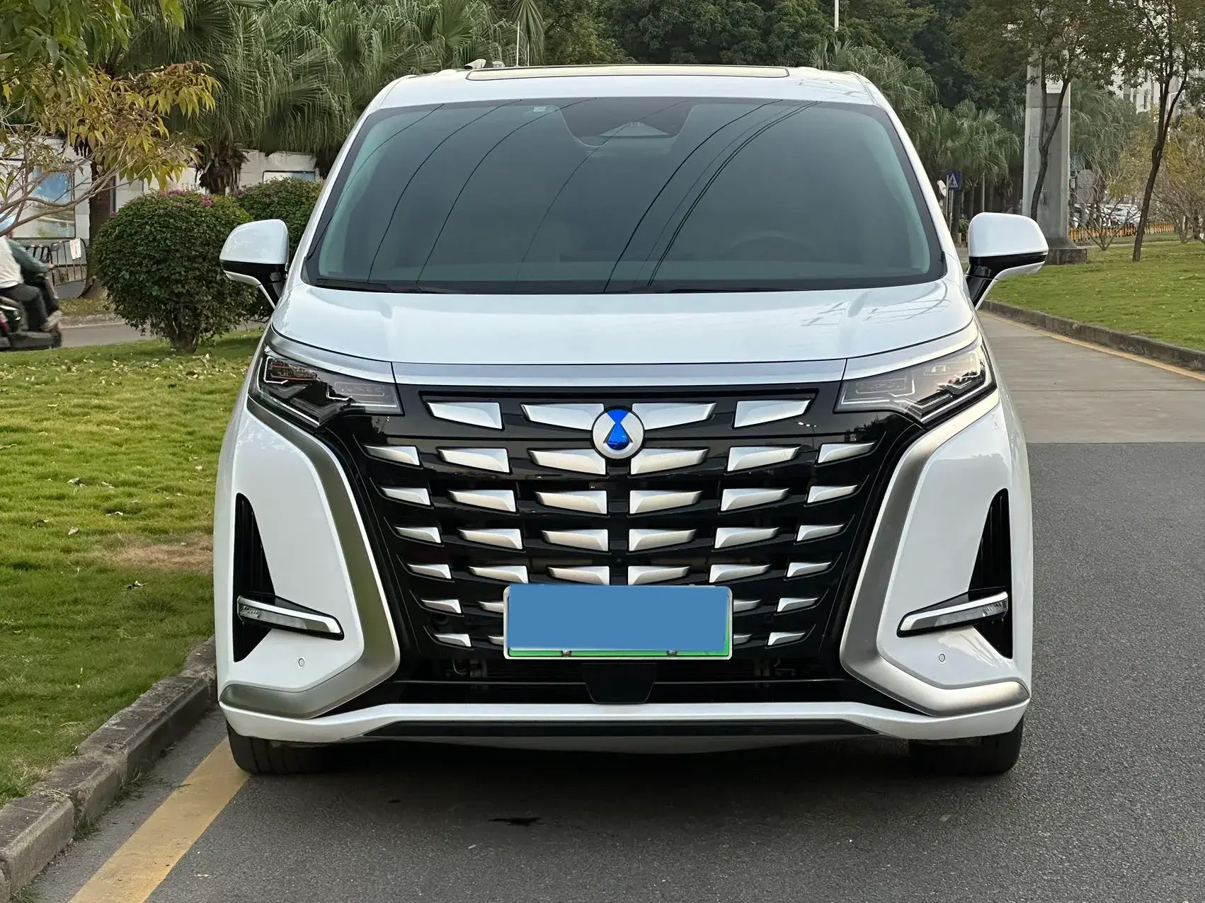 2022 DENZA D9 thumbnail 2