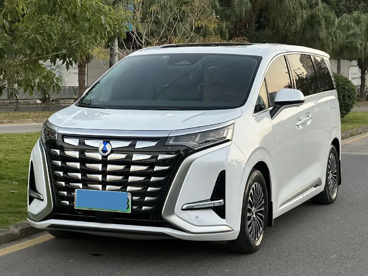 2022 Denza D9 1.5T 139HP L4 E-CVT PHEV 40.06KWH