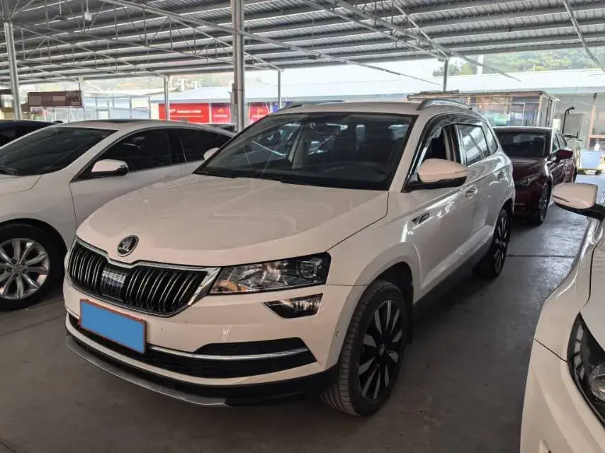 2019 SKODA KAROQ view 1