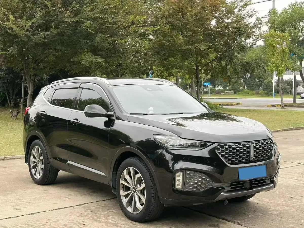 2020 WEY VV6 2.0T 227HP L4 7DCT,autocango,china used car exporter,china ev exporter,chinese used car exporter,chinese used ev exporter