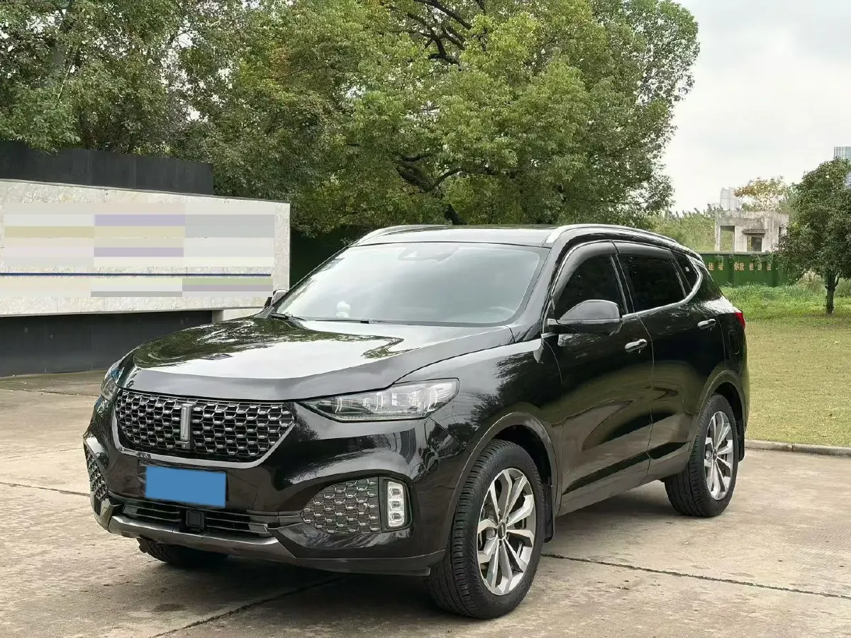 2020 WEY VV6 2.0T 227HP L4 7DCT,autocango,china used car exporter,china ev exporter,chinese used car exporter,chinese used ev exporter