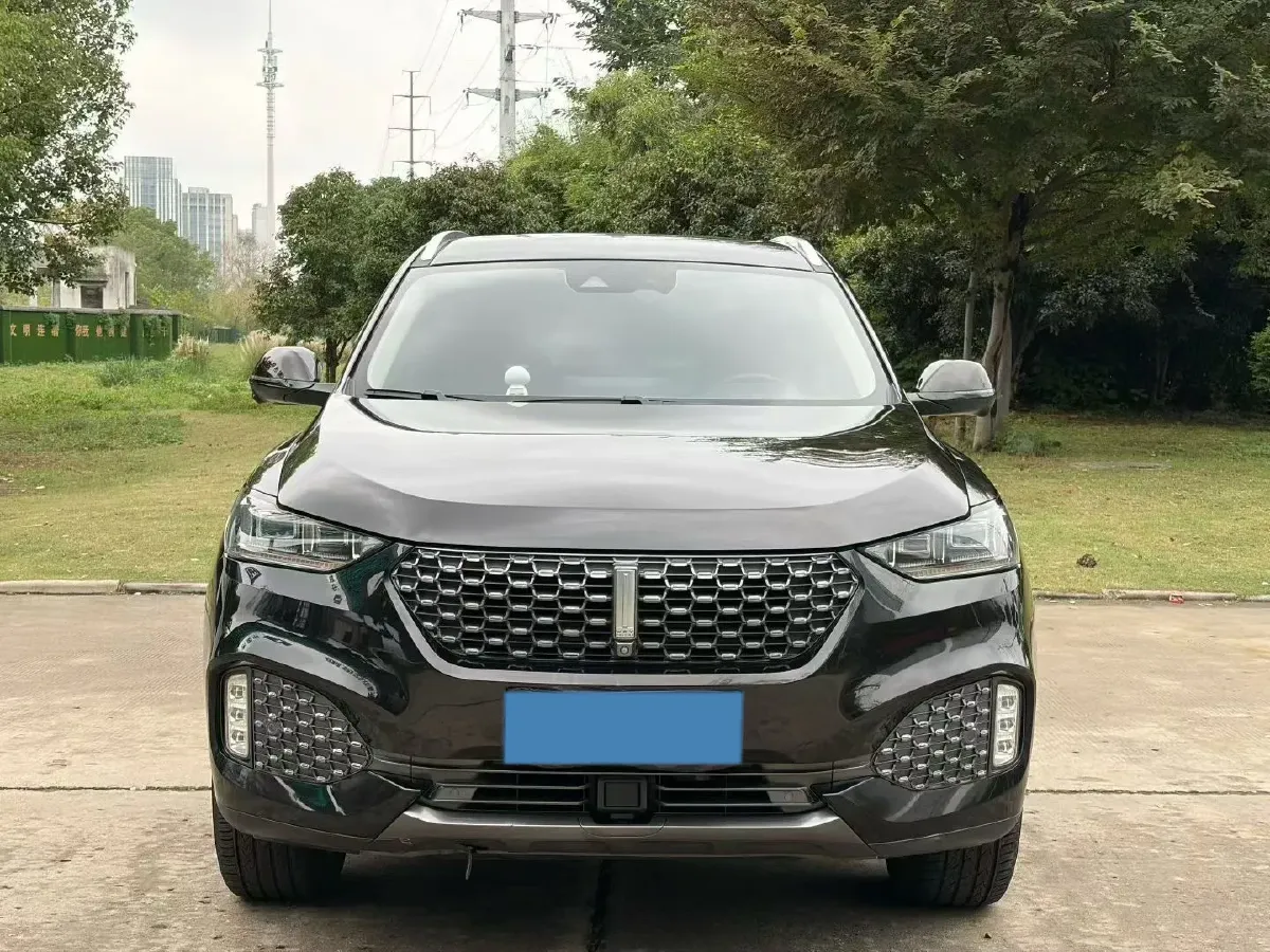 2020 WEY VV6 2.0T 227HP L4 7DCT,autocango,china used car exporter,china ev exporter,chinese used car exporter,chinese used ev exporter