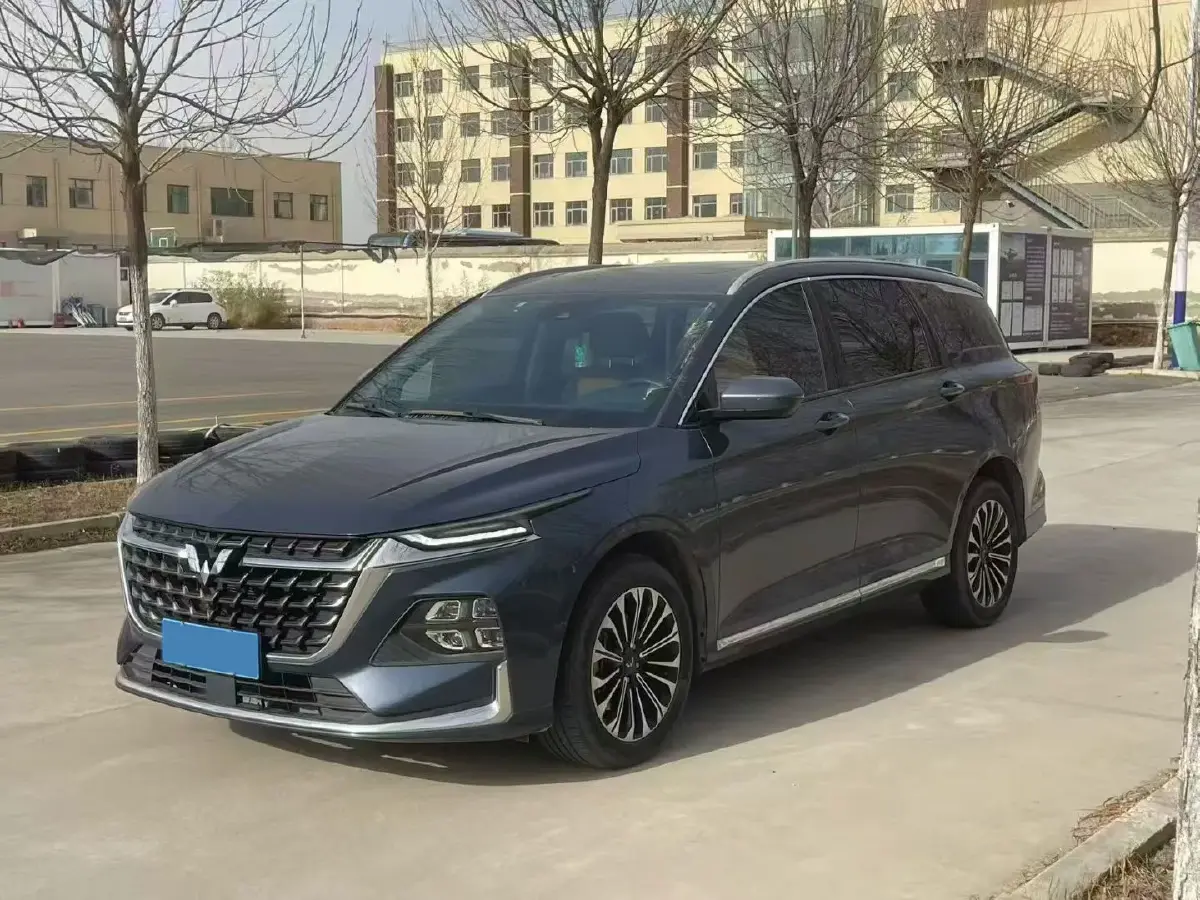 2023 WuLing KaiJie 2.0L 136HP L4 1DHT Hybrid