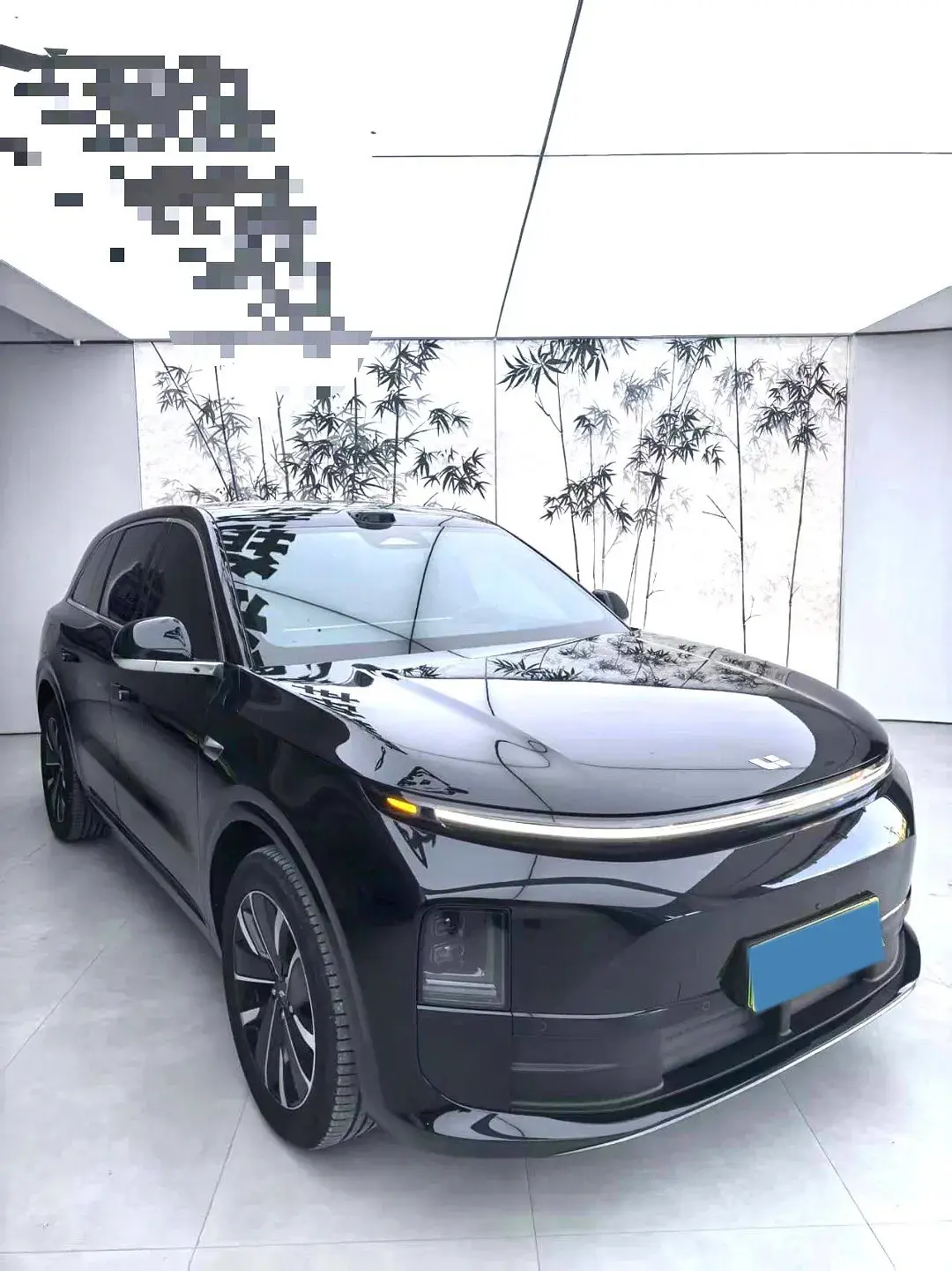 2025 LI L6 thumbnail 2