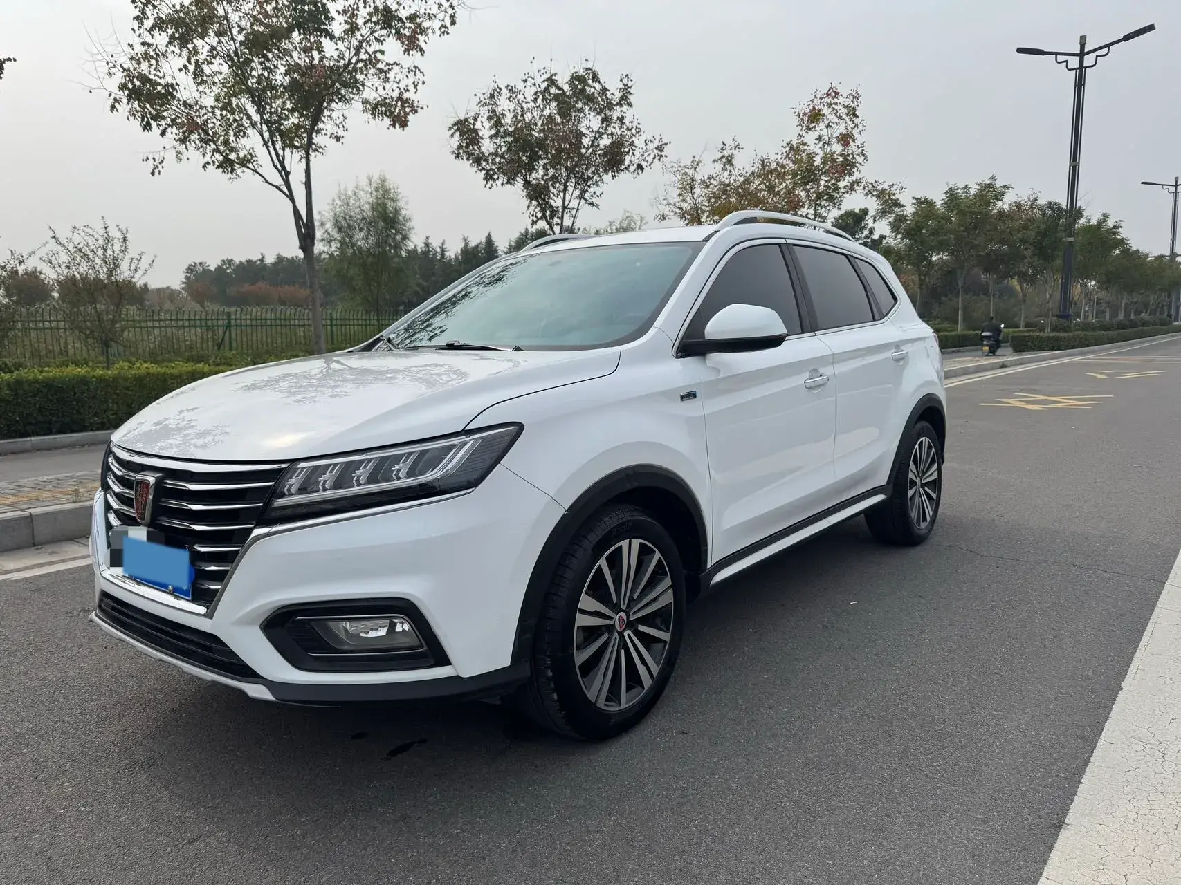 2020 ROEWE RX5 view 1