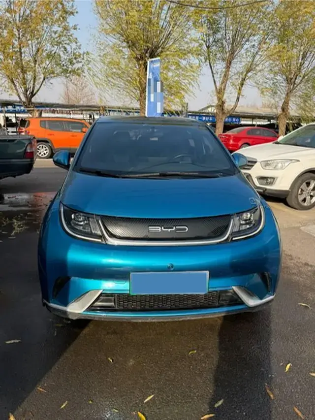 2023 BYD DOLPHIN thumbnail 4