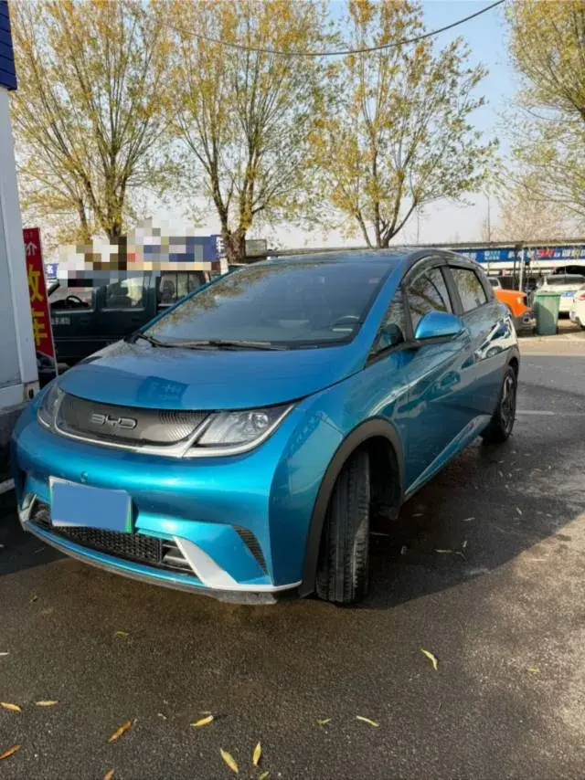 2023 BYD DOLPHIN view 1