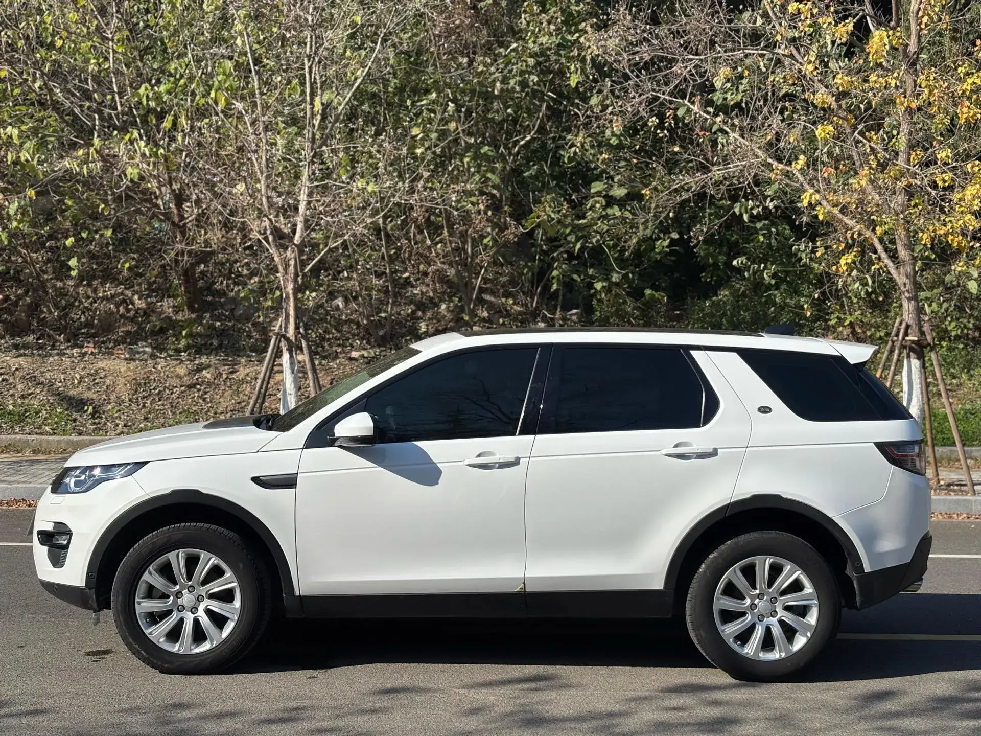 2019 LAND ROVER thumbnail 2