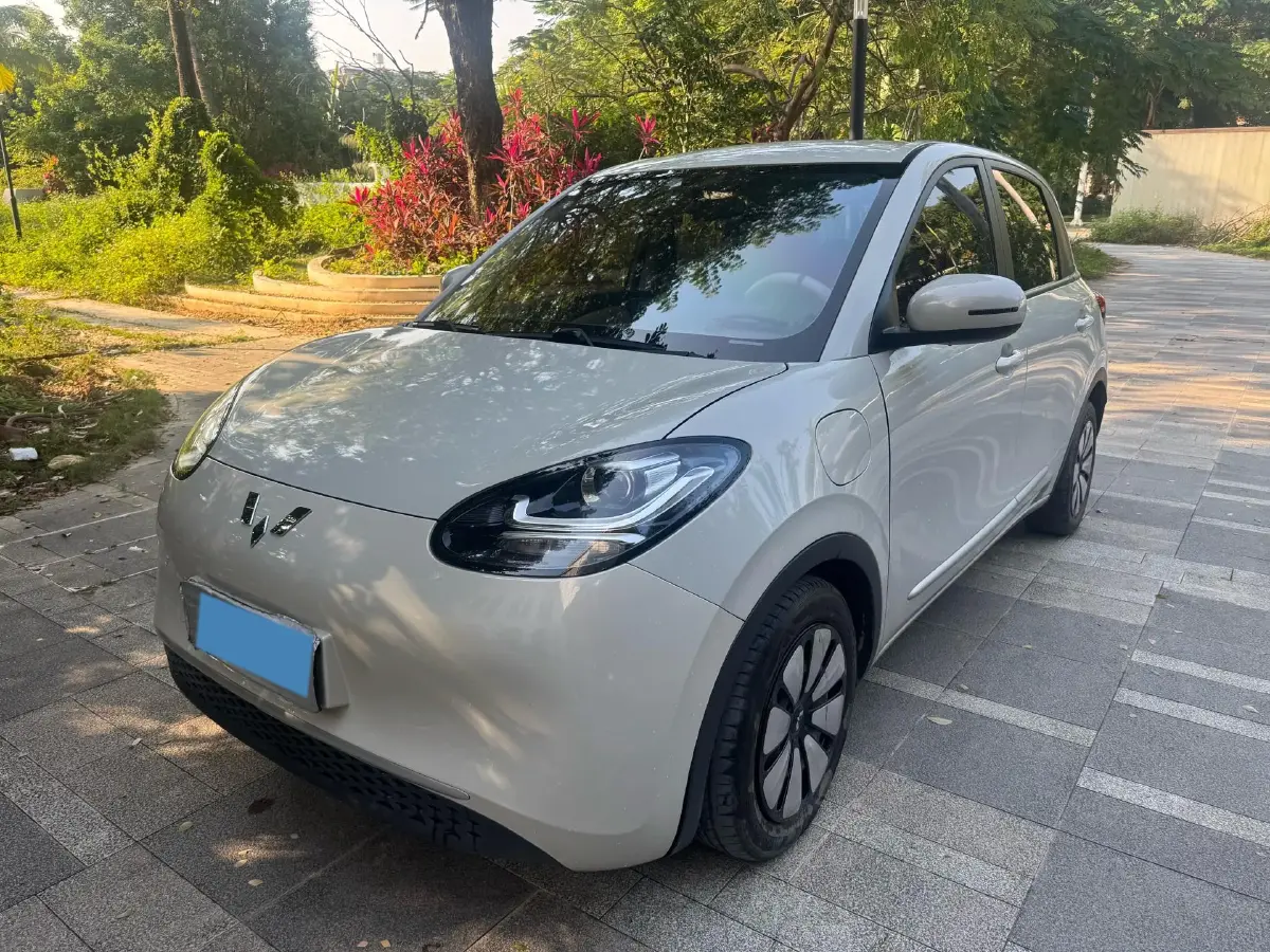 2023 WuLing BinGuo BEV 31.9KWH