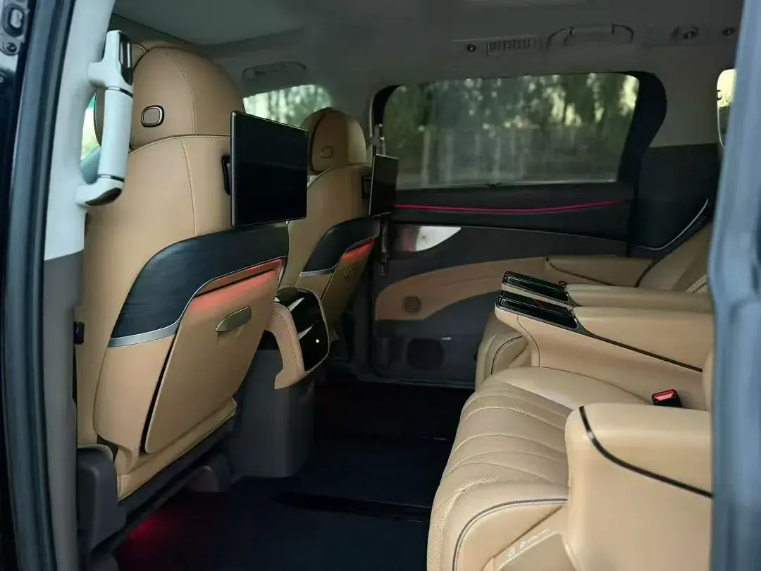 2024 DENZA D9 thumbnail 2