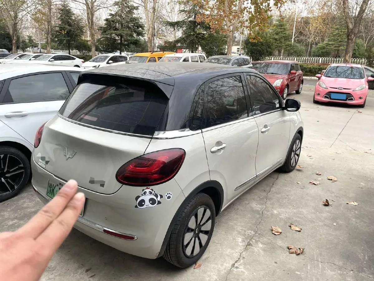 2024 WuLing BinGuo BEV 31.9KWH,autocango,china used car exporter,china ev exporter,chinese used car exporter,chinese used ev exporter