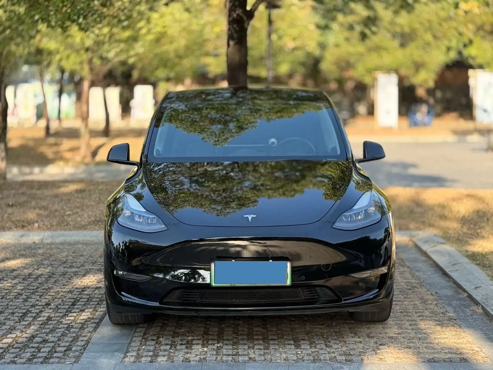 2022 TESLA MODEL thumbnail 2