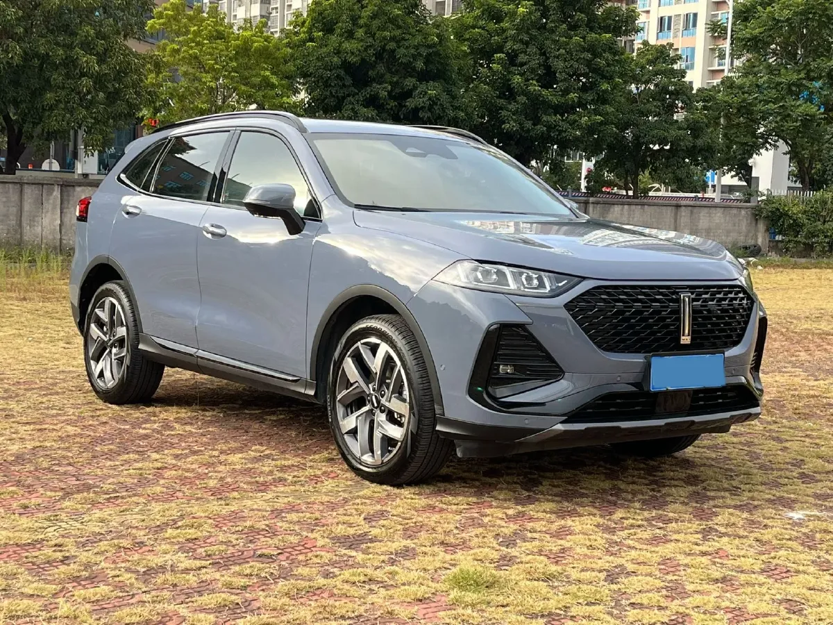 2022 WEY Latte DHT 1.5T 156HP L4 2DHT Hybrid,autocango,china used car exporter,china ev exporter,chinese used car exporter,chinese used ev exporter