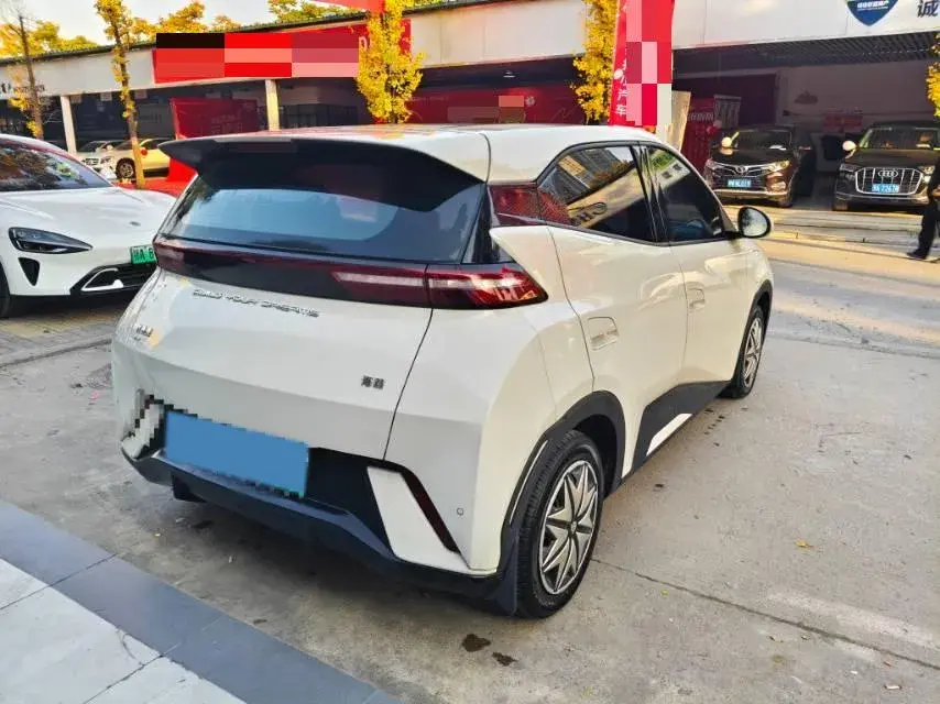 2024 BYD SEAGULL thumbnail 4