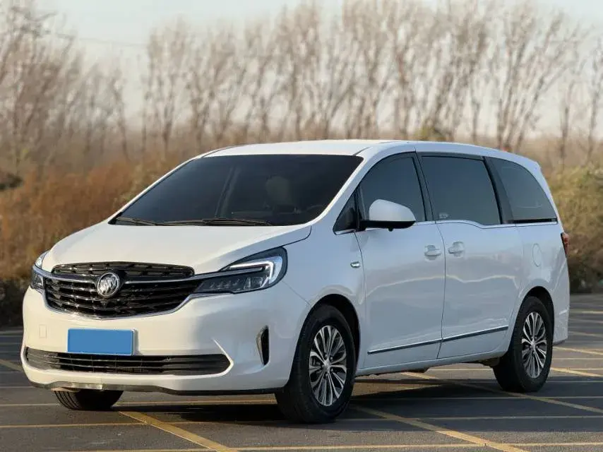 2021 BUICK GL8 view 1