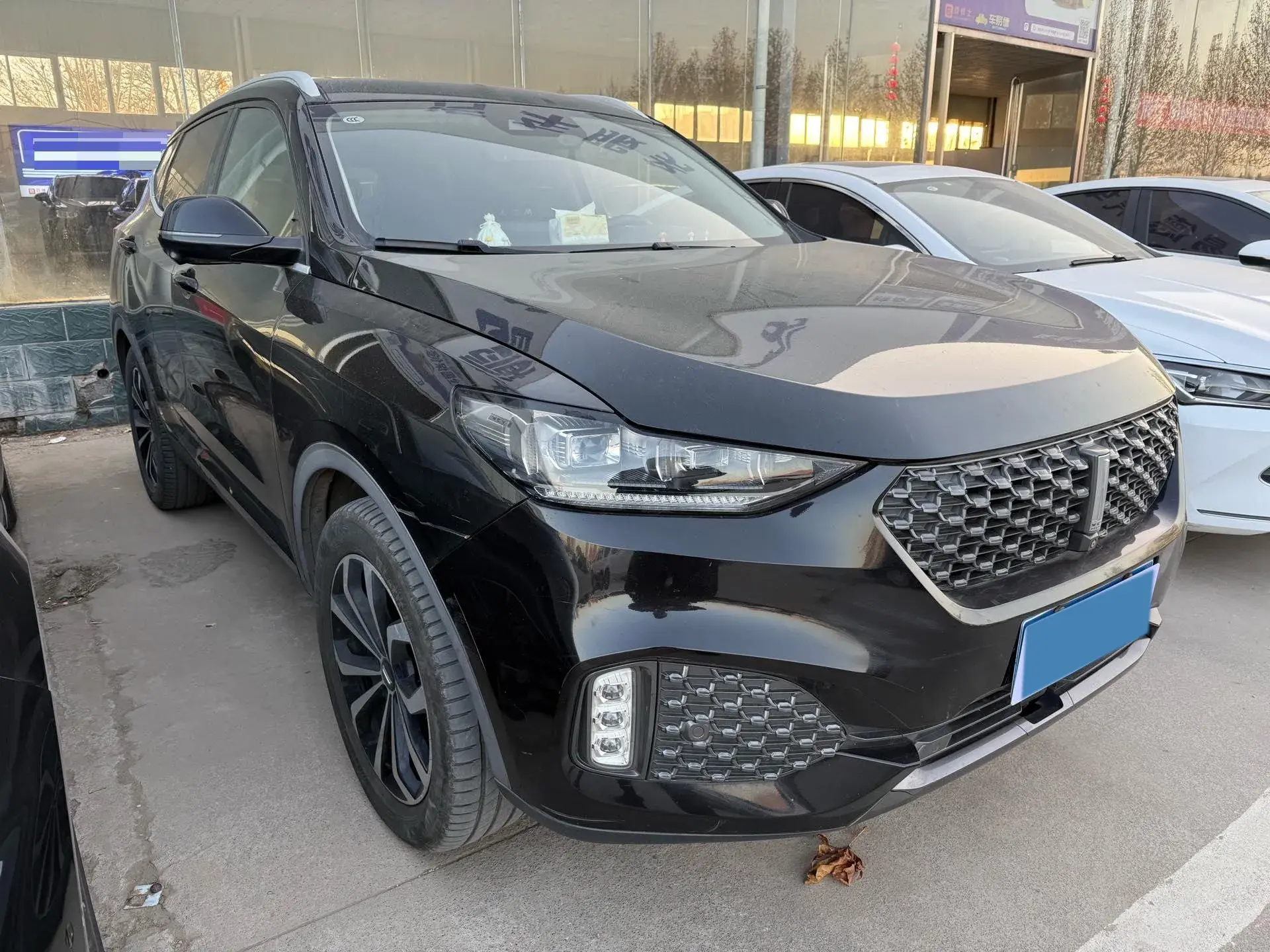 2020 WEY VV6 thumbnail 3