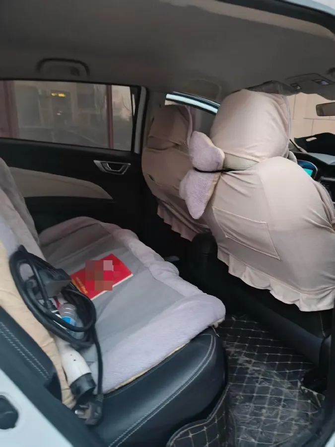 2020 Livan Maple 30X BEV 37KWH,autocango,china used car exporter,china ev exporter,chinese used car exporter,chinese used ev exporter