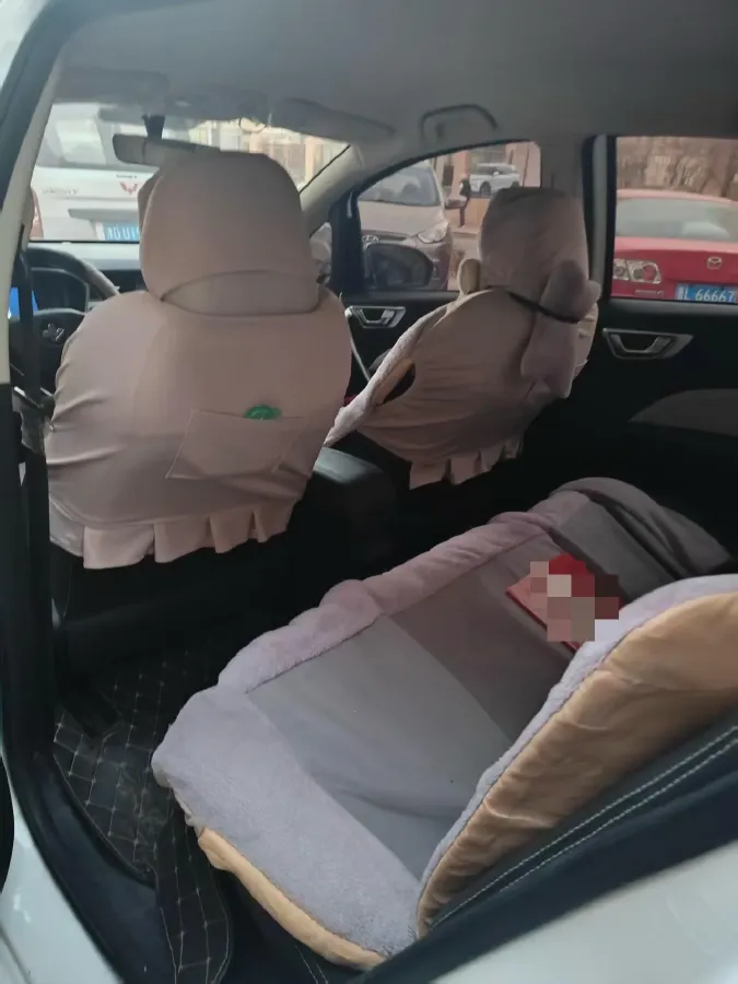 2020 Livan Maple 30X BEV 37KWH,autocango,china used car exporter,china ev exporter,chinese used car exporter,chinese used ev exporter