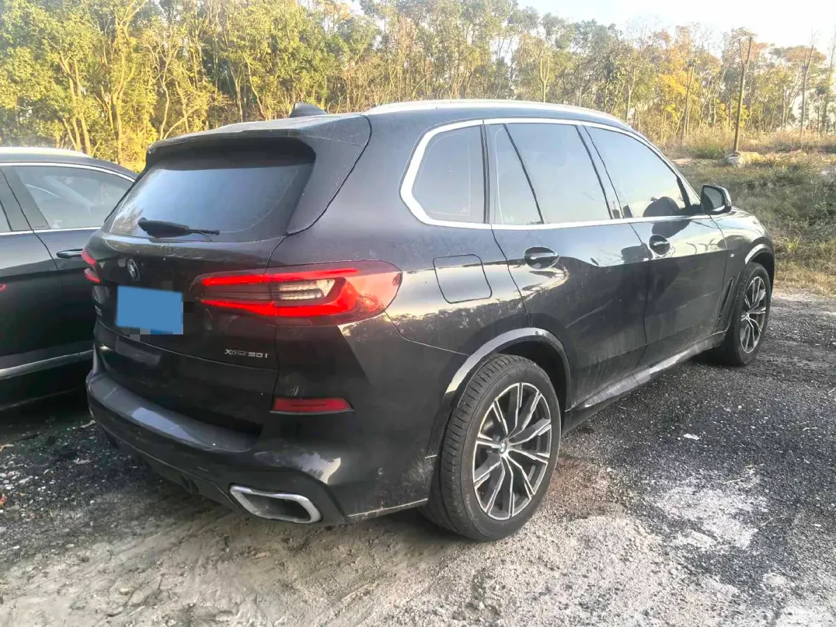 2021 BMW X5 2.0T 265HP L4 8AT,autocango,china used car exporter,china ev exporter,chinese used car exporter,chinese used ev exporter