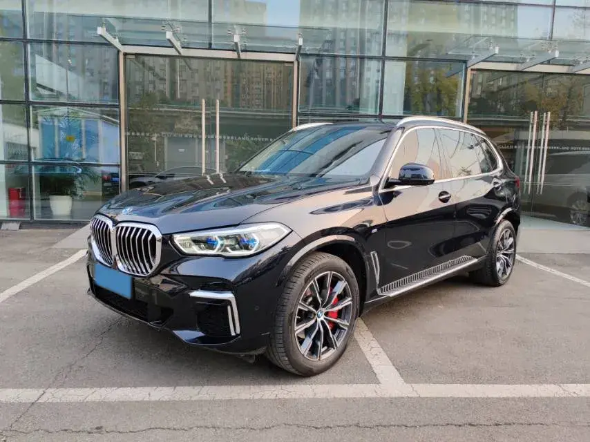2022 BMW X5 view 1
