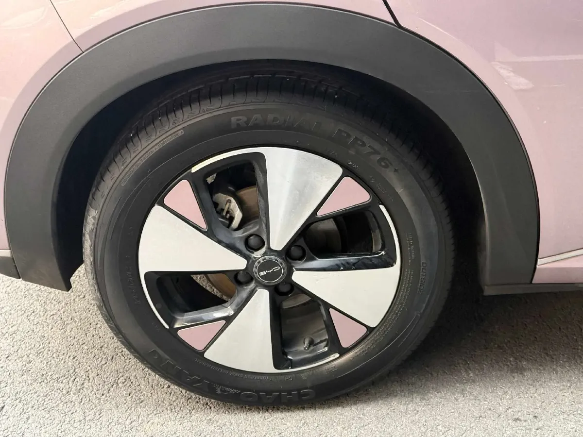 2023 BYD Dolphin BEV 44.928KWH,autocango,china used car exporter,china ev exporter,chinese used car exporter,chinese used ev exporter