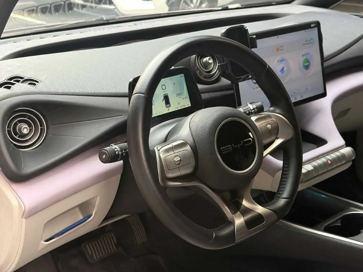 2023 BYD Dolphin BEV 44.928KWH,autocango,china used car exporter,china ev exporter,chinese used car exporter,chinese used ev exporter