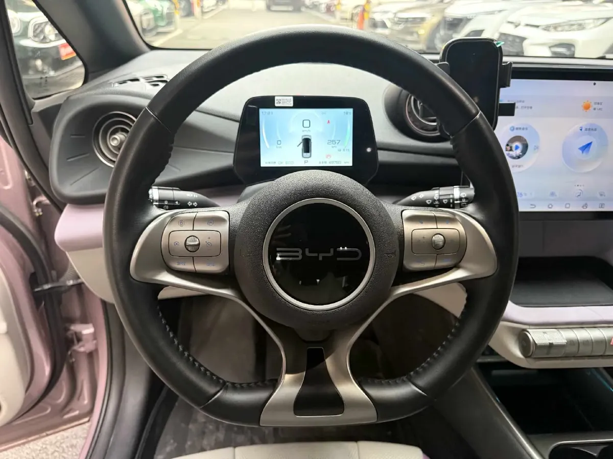 2023 BYD Dolphin BEV 44.928KWH,autocango,china used car exporter,china ev exporter,chinese used car exporter,chinese used ev exporter