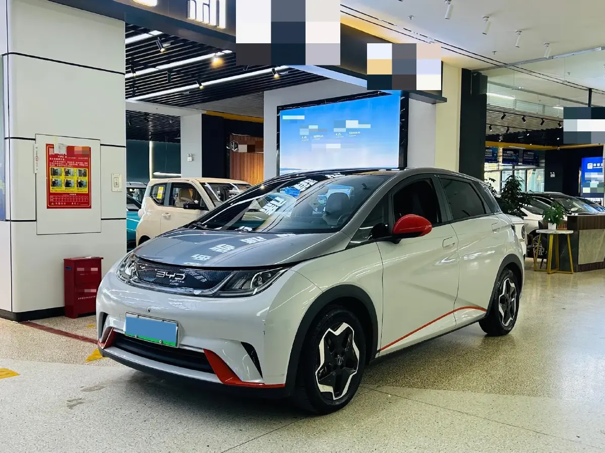 2021 BYD Dolphin BEV 44.9KWH