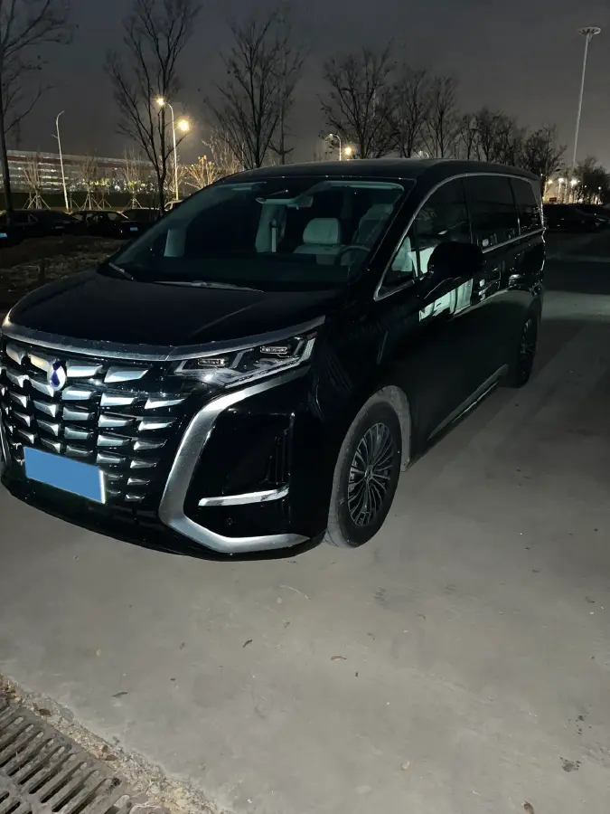 2022 Denza D9 1.5T 139HP L4 E-CVT PHEV 40.06KWH