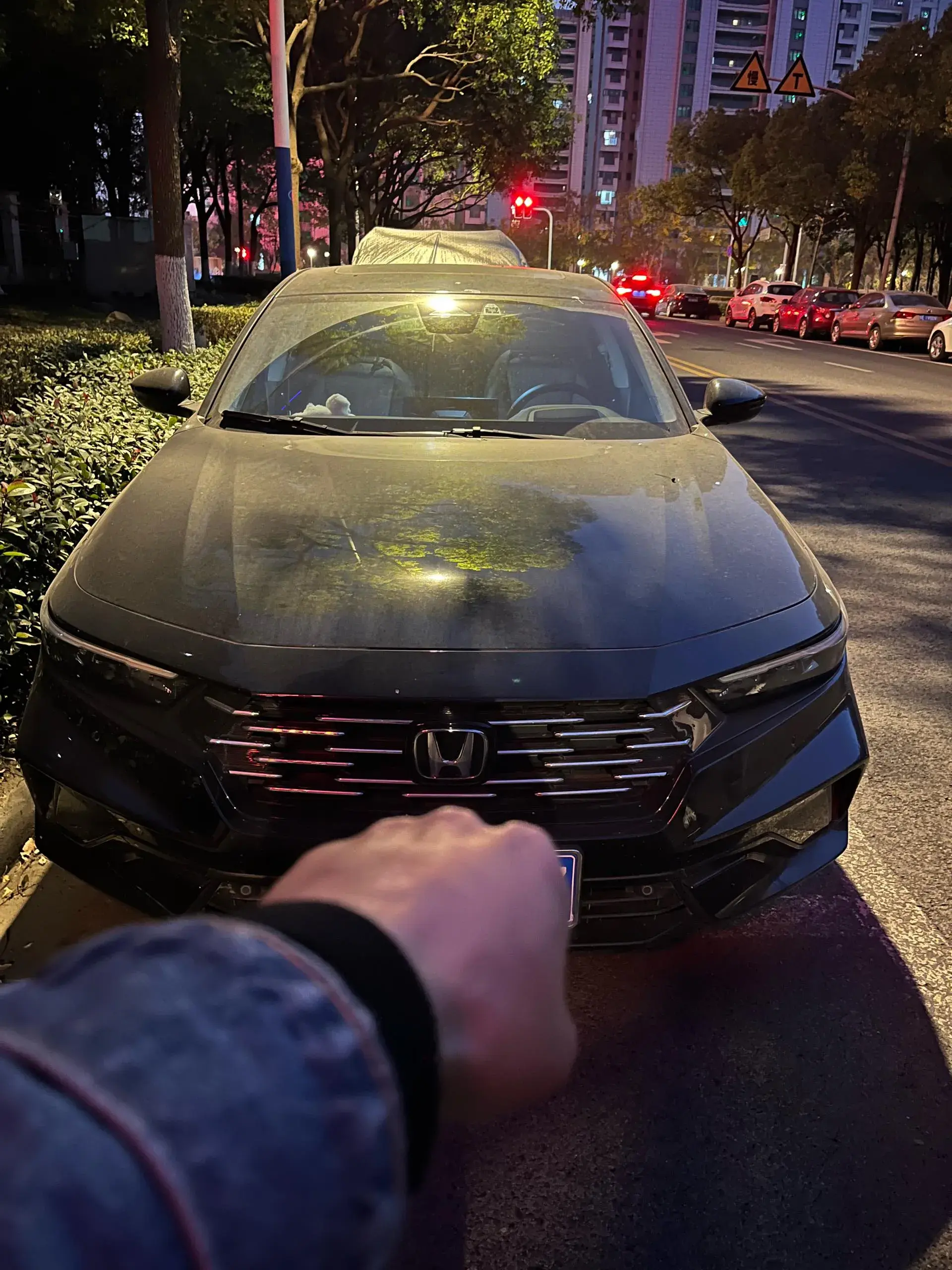 2025 HONDA ACCORD thumbnail 2