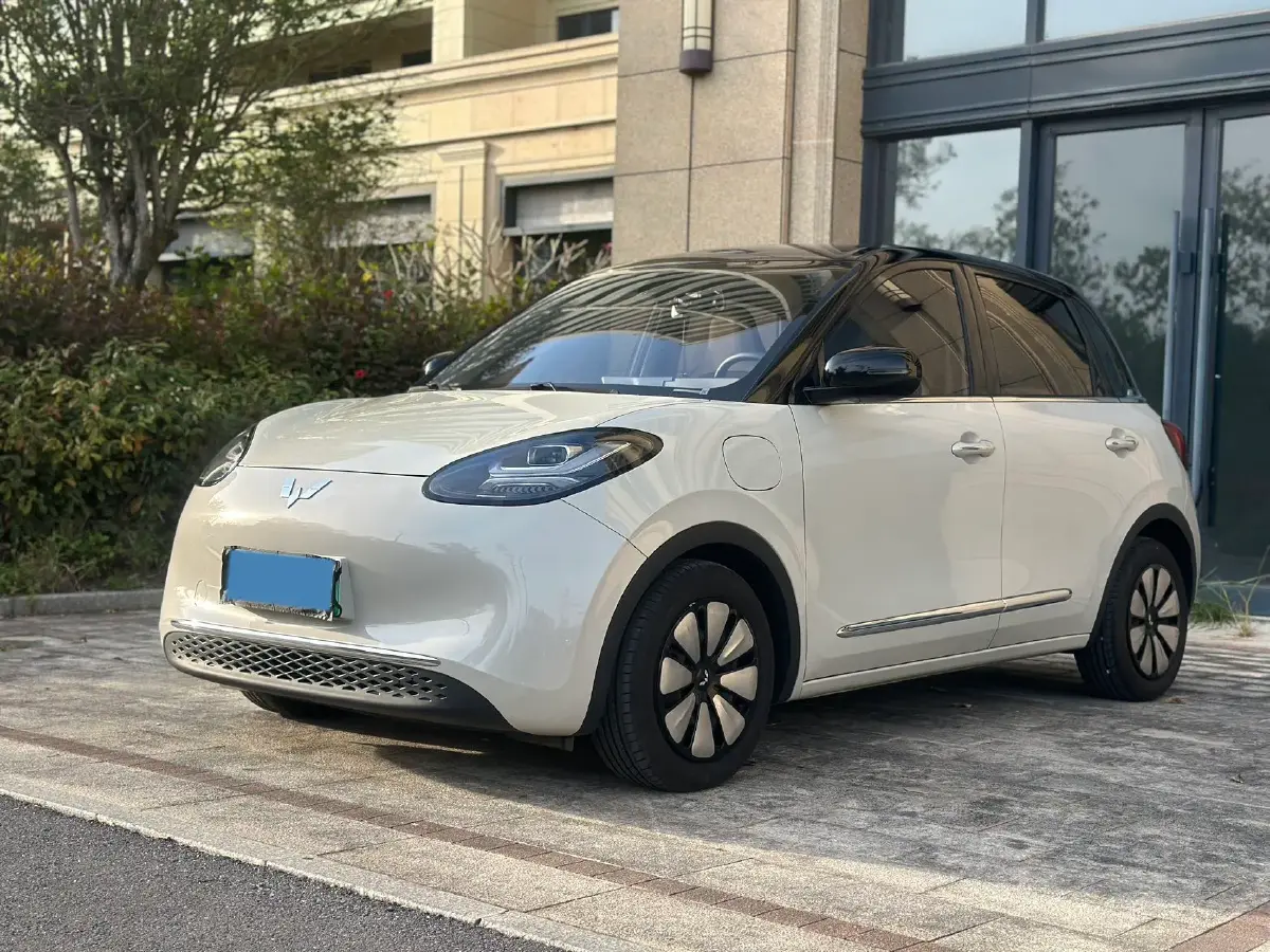 2023 WuLing BinGuo BEV 31.9KWH