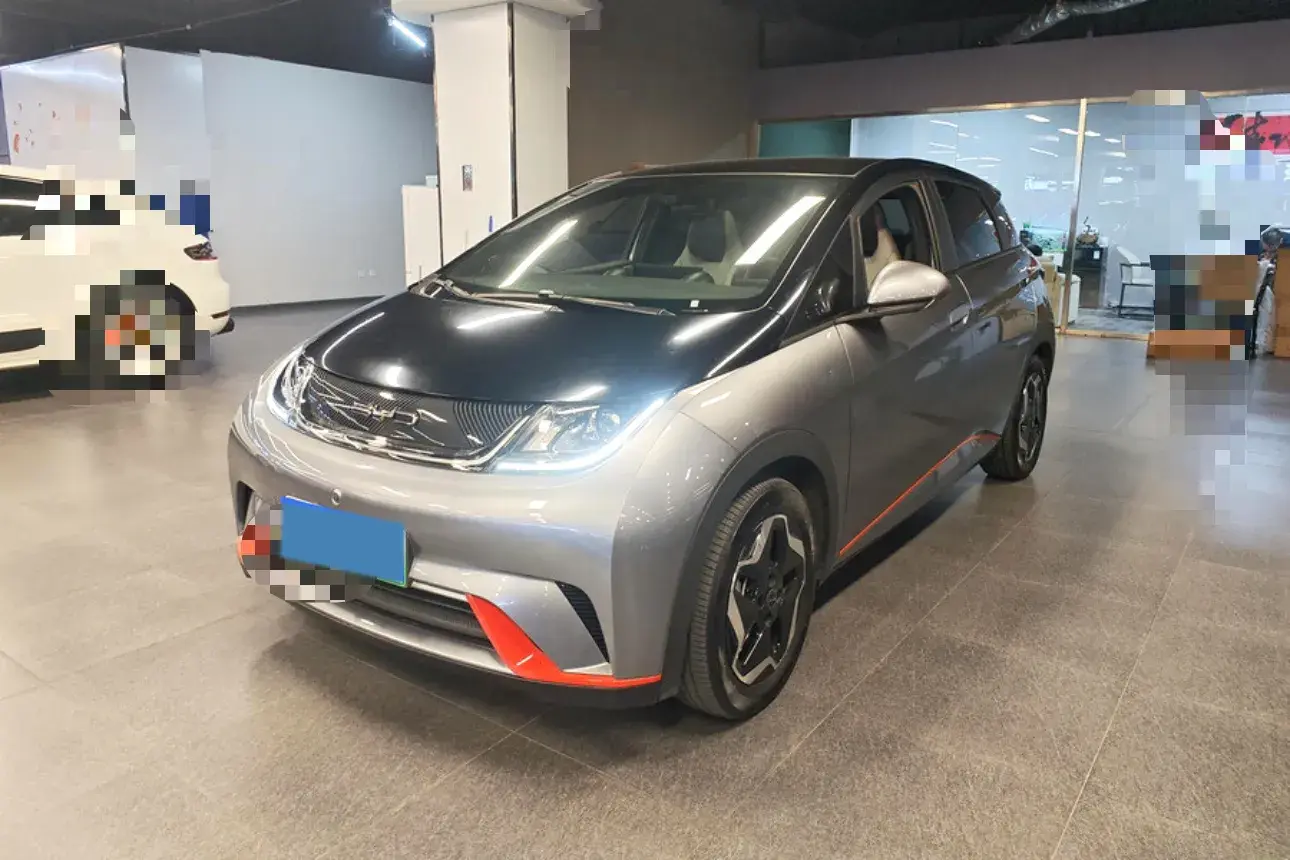 2021 BYD DOLPHIN view 1