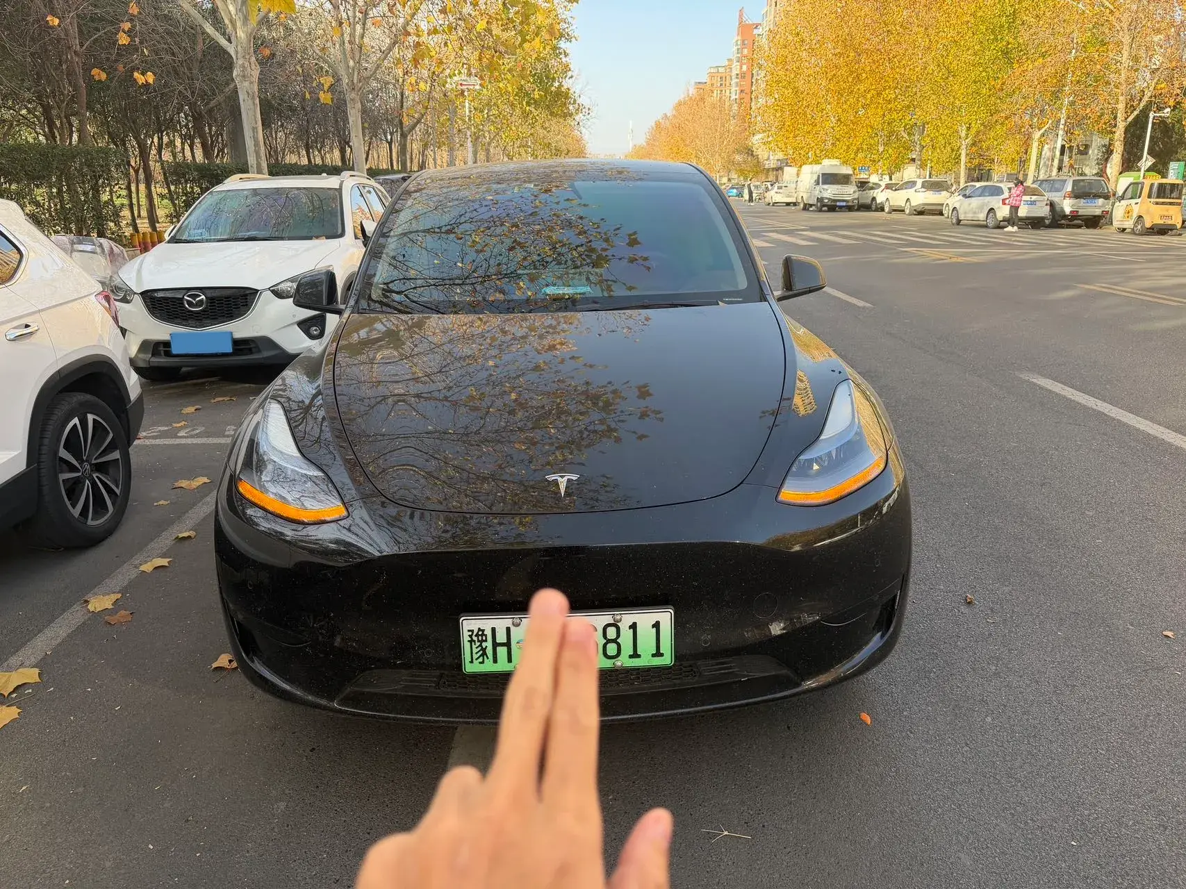 2023 TESLA MODEL thumbnail 3