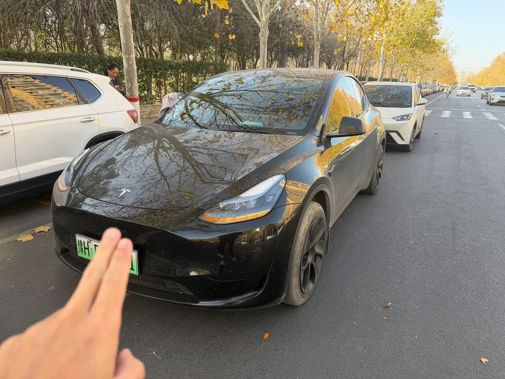 2023 TESLA MODEL view 1