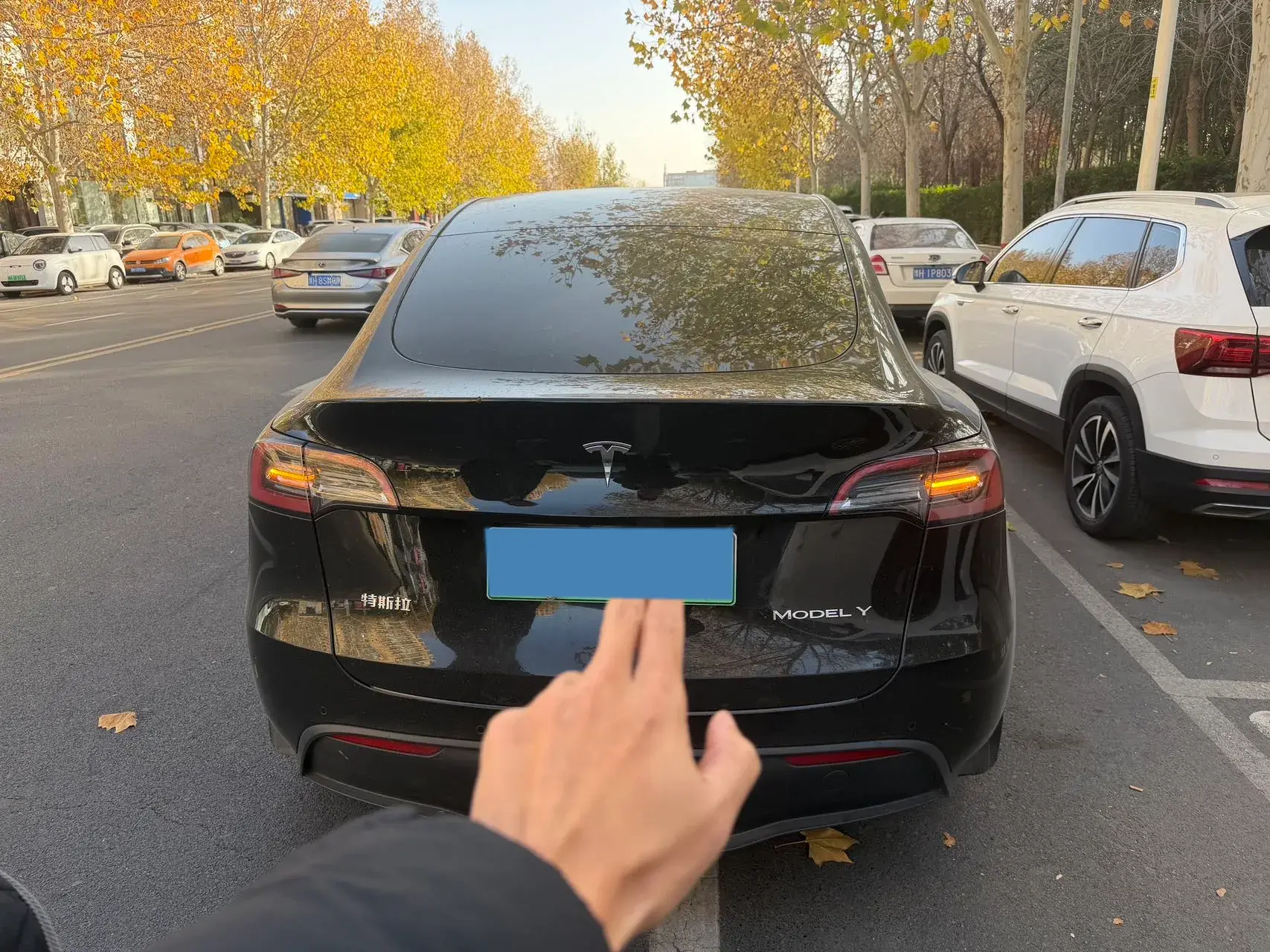 2023 TESLA MODEL thumbnail 2