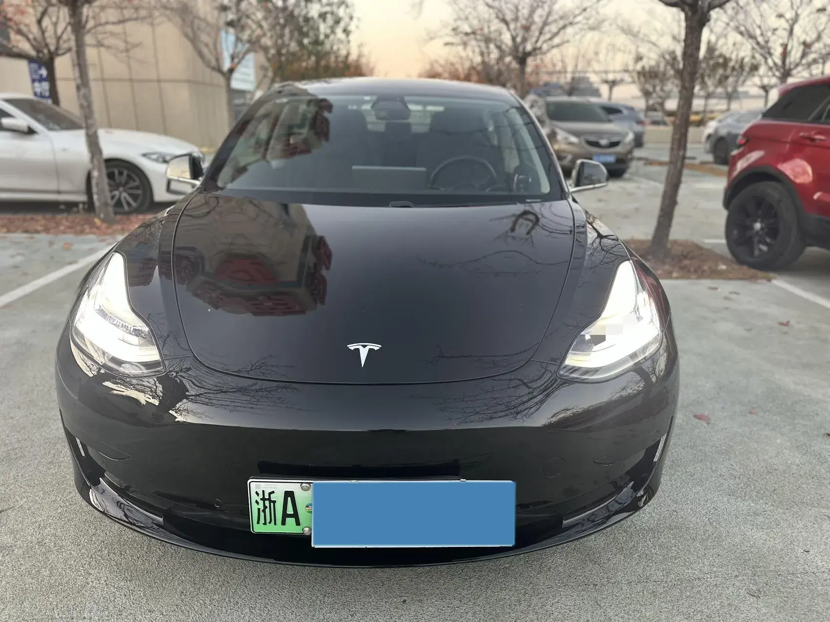 2020 TESLA MODEL thumbnail 2