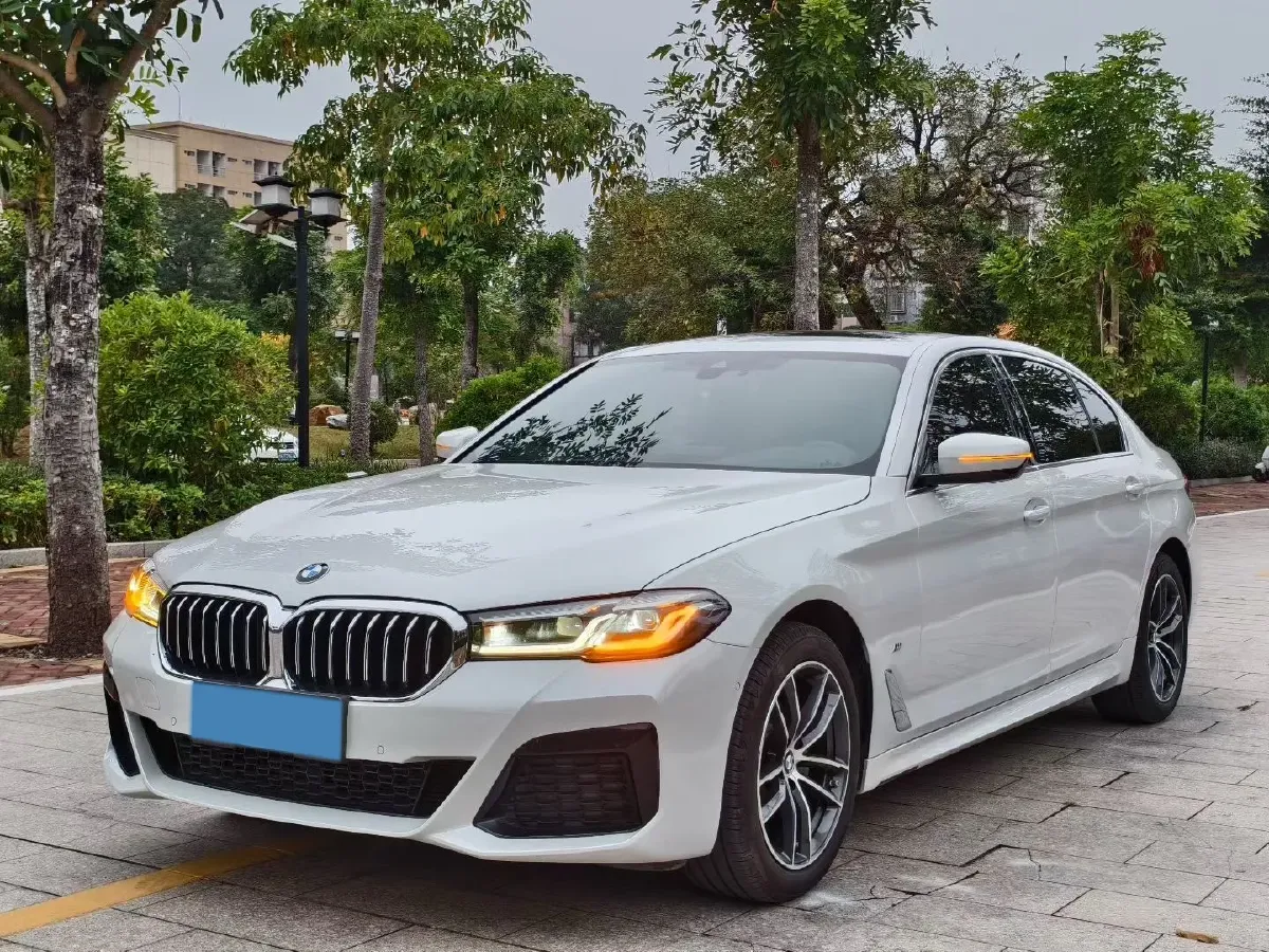 2022 BMW 5 Series 2.0T 184HP L4 8AT,autocango,china used car exporter,china ev exporter,chinese used car exporter,chinese used ev exporter