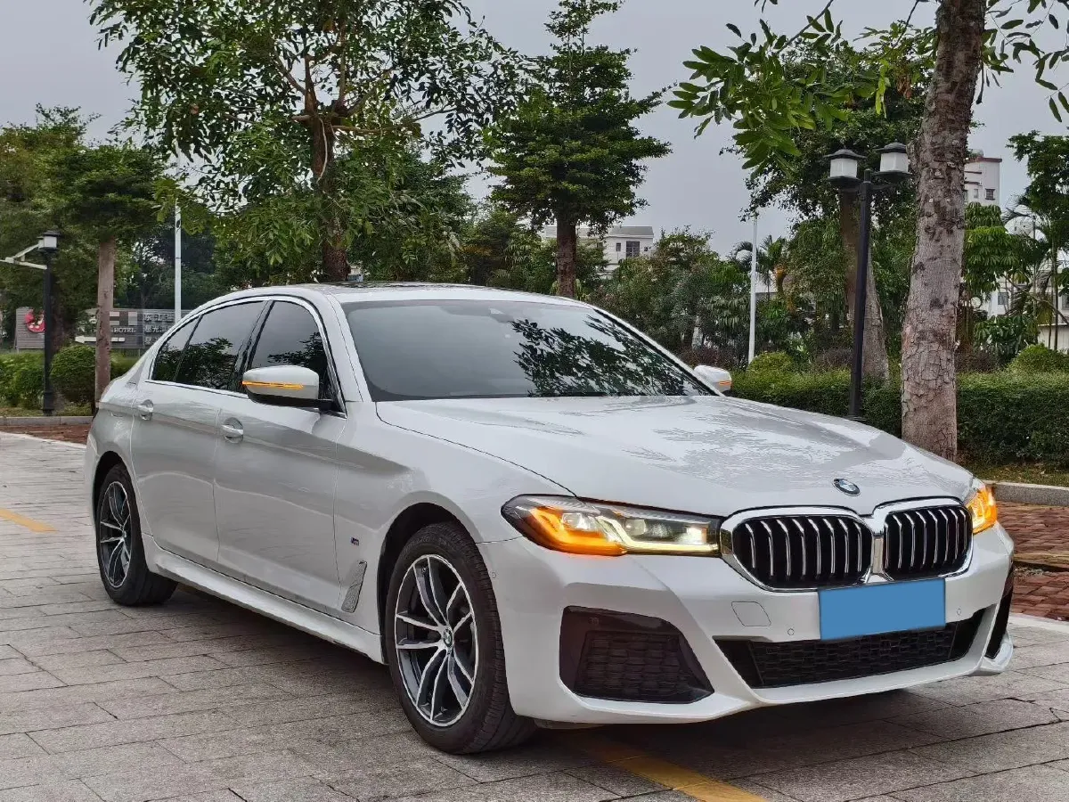 2022 BMW 5 Series 2.0T 184HP L4 8AT,autocango,china used car exporter,china ev exporter,chinese used car exporter,chinese used ev exporter