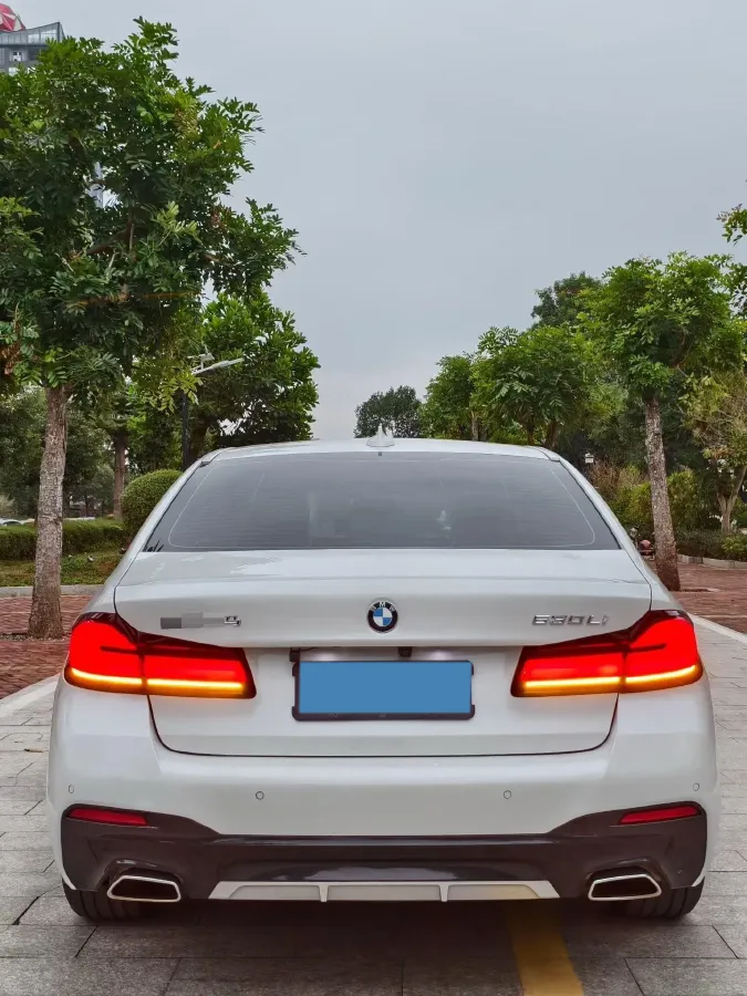 2022 BMW 5 Series 2.0T 184HP L4 8AT,autocango,china used car exporter,china ev exporter,chinese used car exporter,chinese used ev exporter