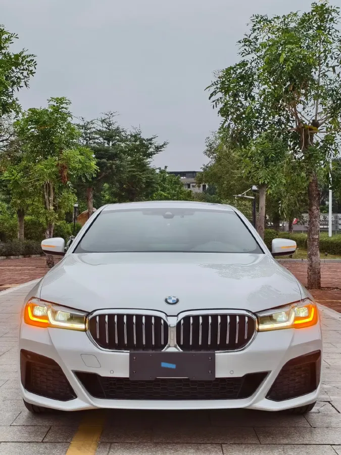 2022 BMW 5 Series 2.0T 184HP L4 8AT,autocango,china used car exporter,china ev exporter,chinese used car exporter,chinese used ev exporter