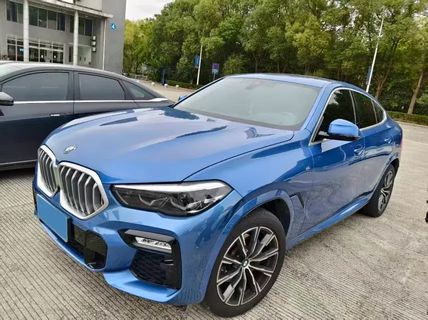 2020 BMW X6 view 1