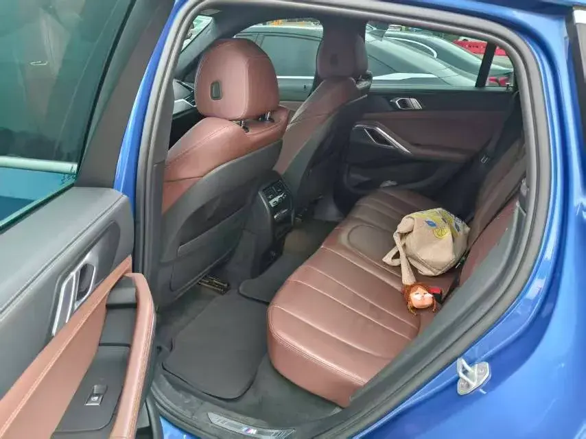 2020 BMW X6 thumbnail 3