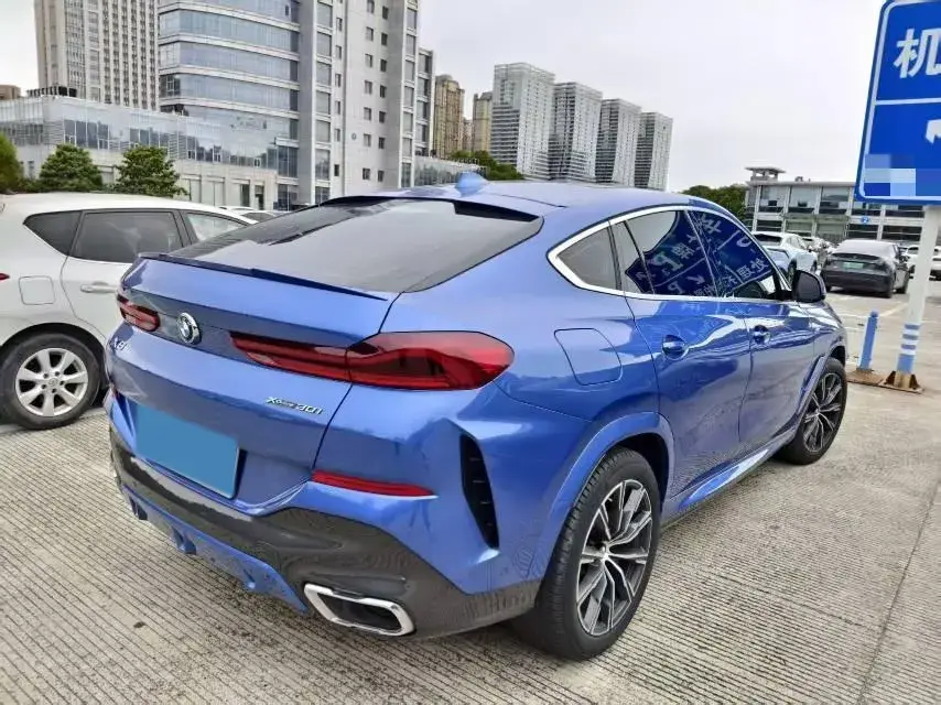 2020 BMW X6 thumbnail 4