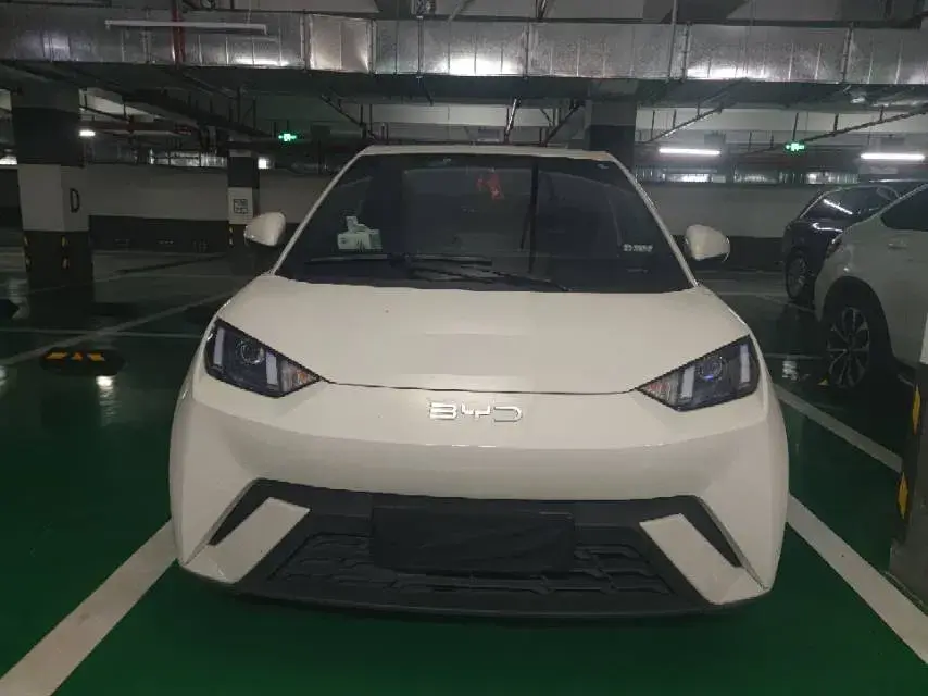 2024 BYD SEAGULL thumbnail 2